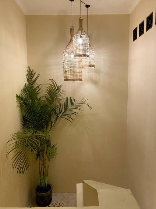 Villa Cozy 3 Bedroom In Seminyak (Bali)